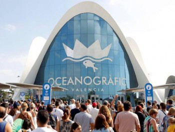 Валенсийский океанографической комплекс Oceanografic принял с начала года миллионного посетителя