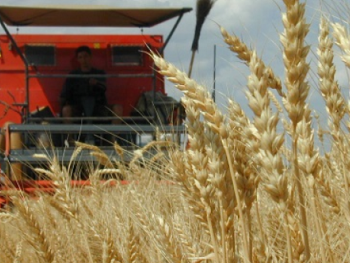 Испания в октябре 2023 года закупила у России рекордный за 11 лет объем зерна 